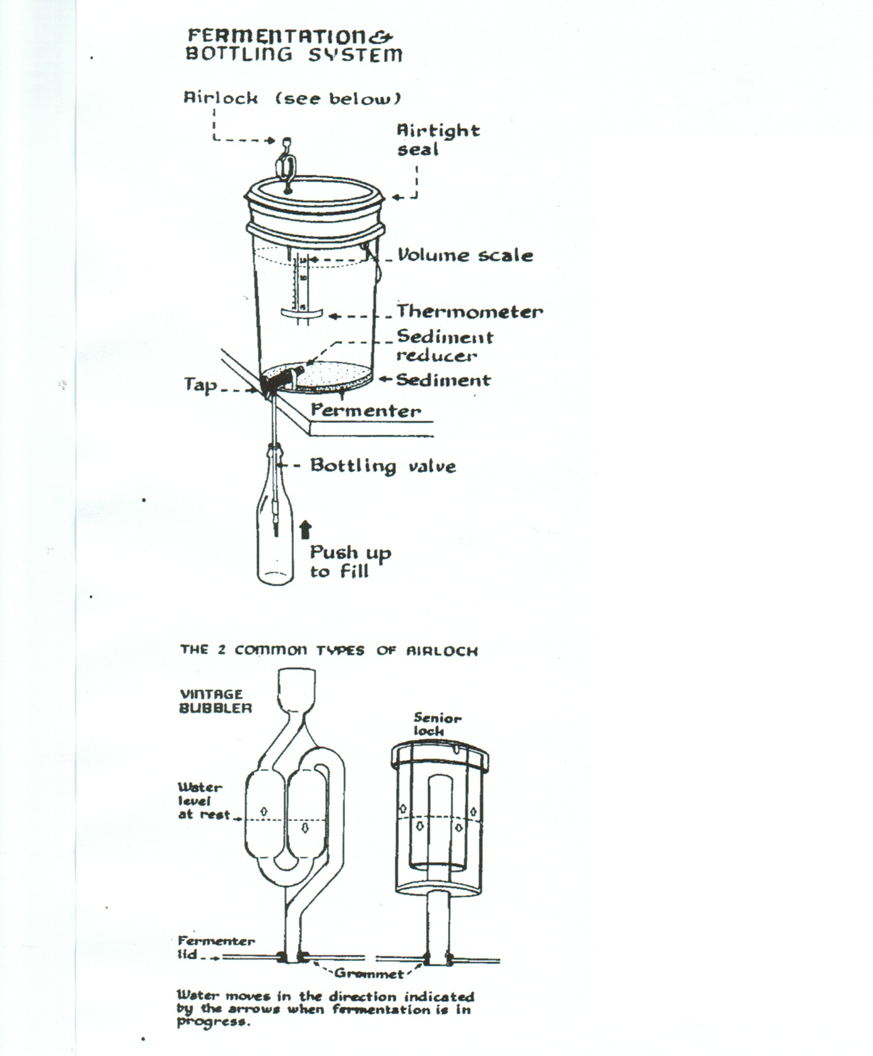 extract brew equipment Costanzo Brewing Consultants